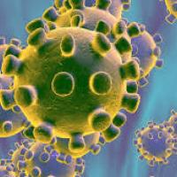 Nieuwe update omtrent Coronavirus d.d. 20 januari 2021